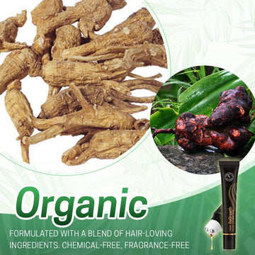 HAIR ORGANIC SERUM ROLLER **Combo**